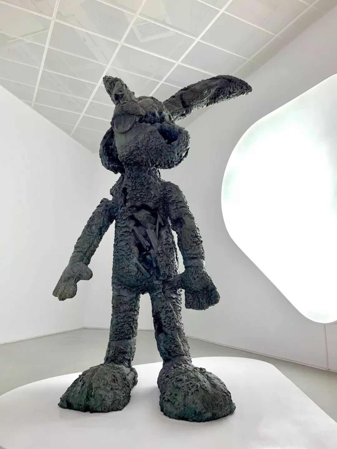 好玩指数★★★好拍指数★★★★bunny邦尼兔1