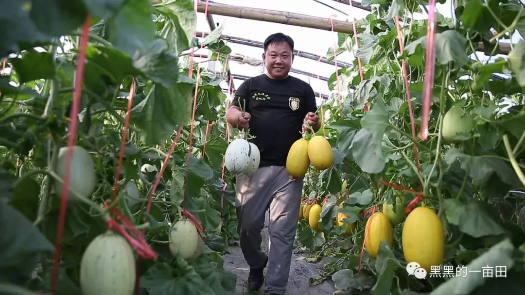 中国蔬菜第一县的品牌之路