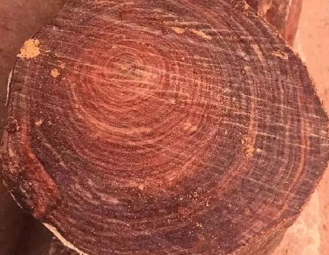小叶紫檀 的老料原来是这样的,别在数年轮了