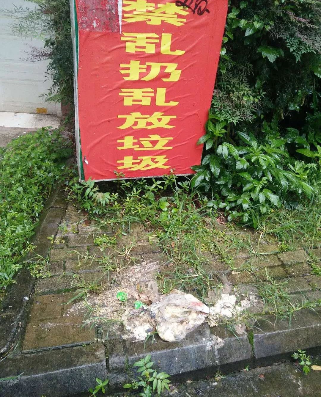受够了!小区垃圾乱扔,金碧城的居民很糟心-搜狐大视野-搜狐新闻
