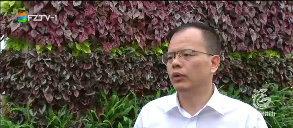 "三个福州"系列谈丨市委常委,仓山区委书记蔡战胜:实施"五抓五要"工作