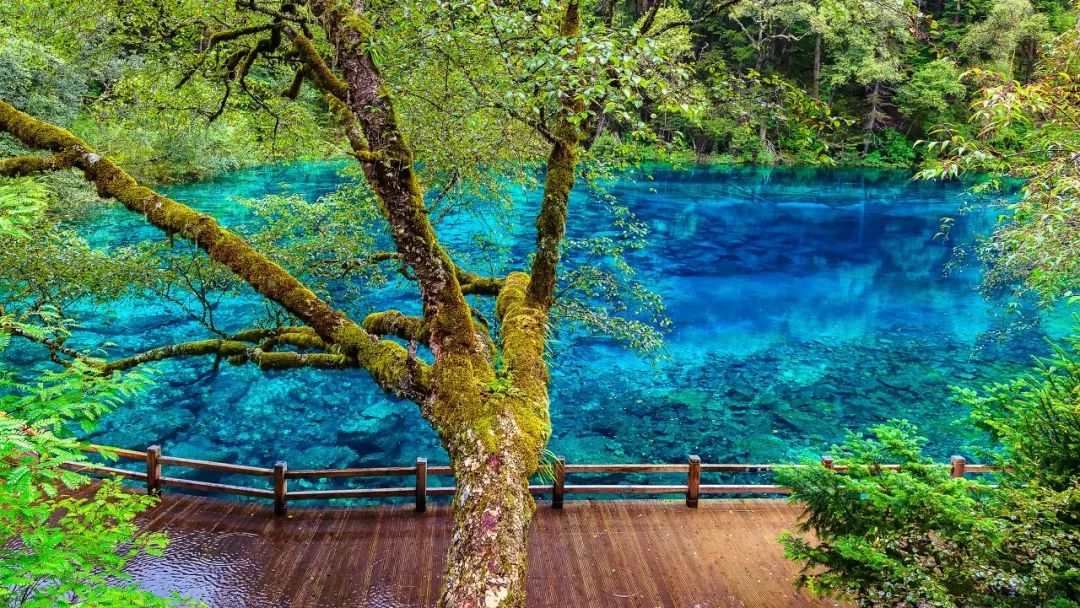 九寨沟部分景点国庆开放你还在等么