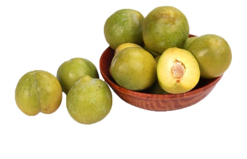 咱密云的宫廷贡果御皇李子熟啦快来摘