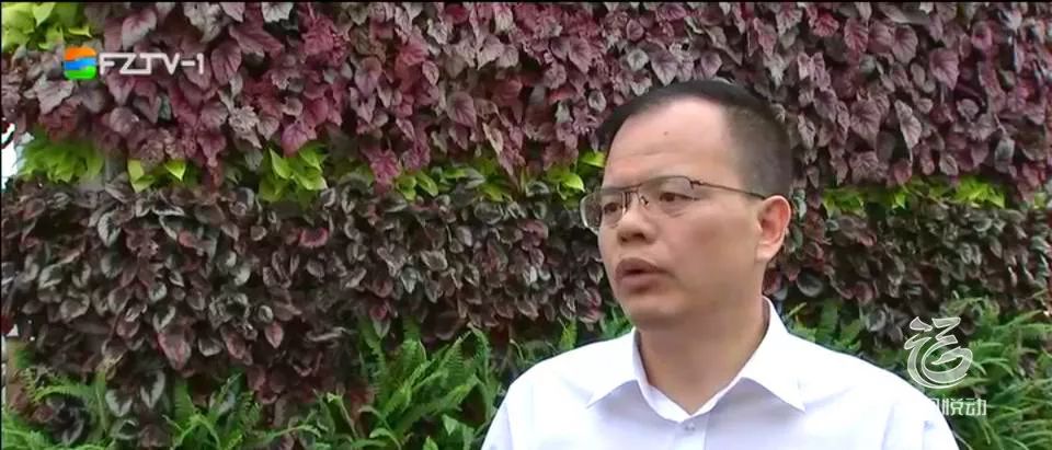"三个福州"系列谈丨市委常委,仓山区委书记蔡战胜:实施"五抓五要"工作