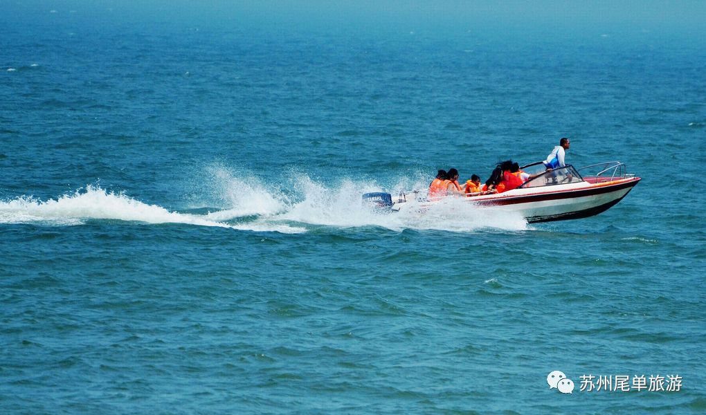 青岛日照三日游纯玩无购物含极地海洋世界特价仅需479元起