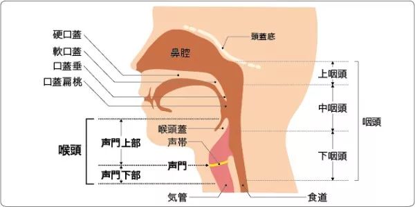 被鱼刺卡喉到医院检查竟查出癌症早期症状跟感冒很像