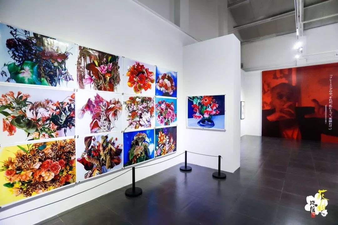 荒木经惟·花幽展览现场·798艺术区桥艺术空间这是日本艺术家荒木经