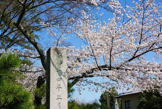 日本京都最美的寺院,大觉寺,有着360度无死角的迷人