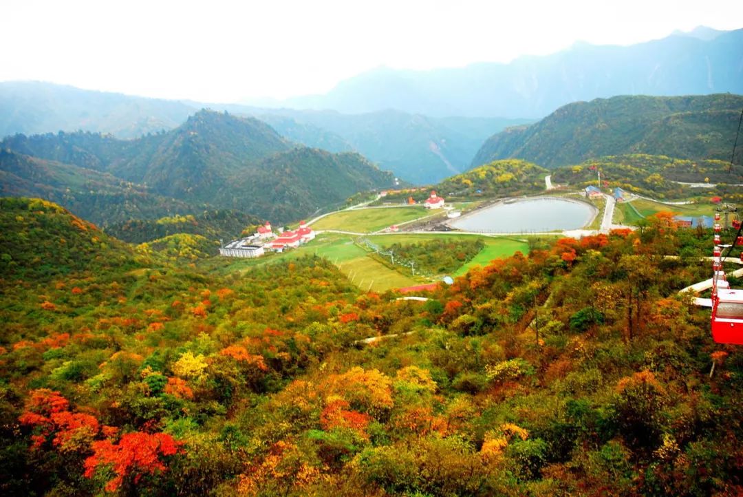 什么样的地方被称为"全国最美森林小镇"?大邑西岭告诉你!