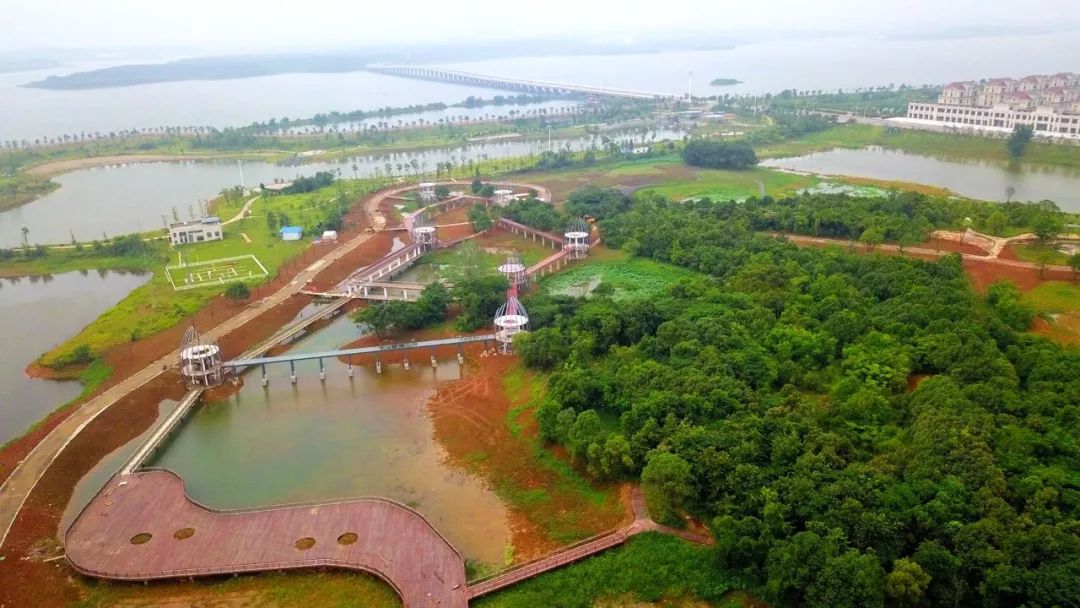 好消息共青城这个生态公园雏形初显快看