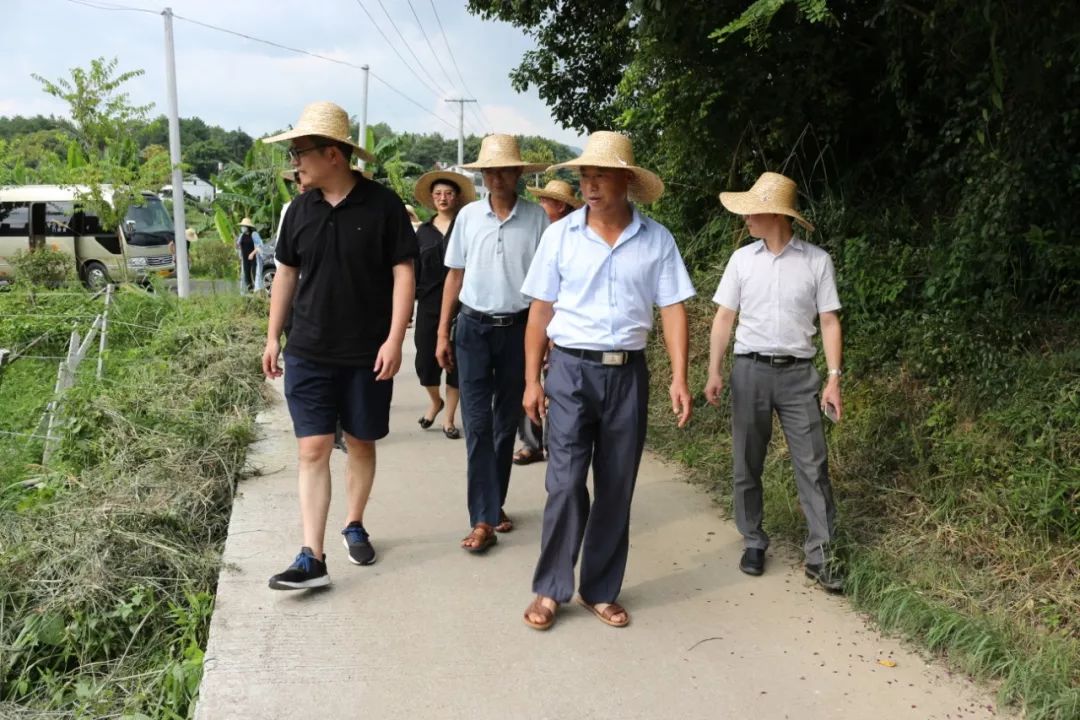 其间,考察团还分组到菖蒲乡坪岗村百香果基地,南桥镇高排村百香果基地
