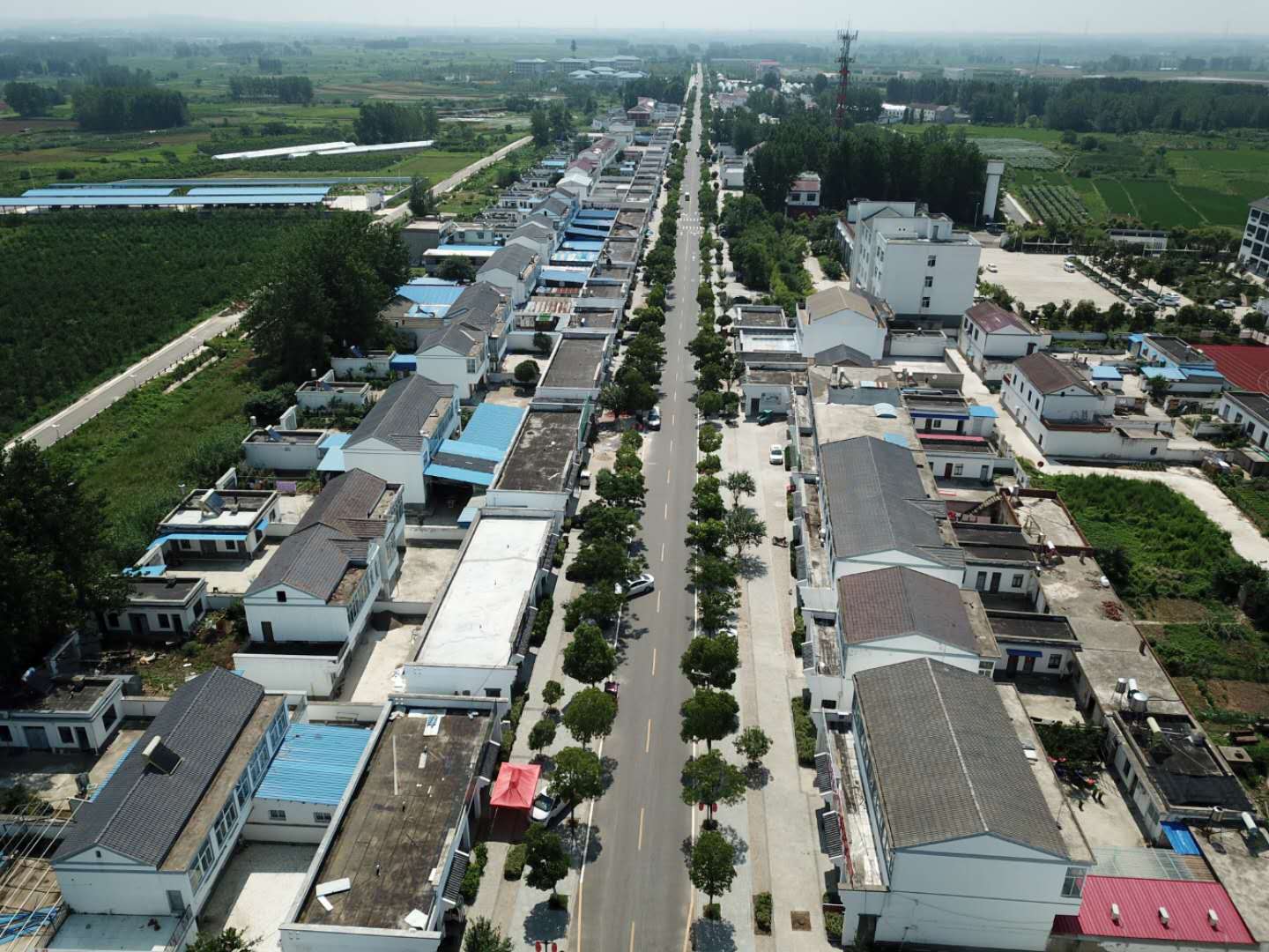 沿习之路东线凤阳县小岗村撒向希望田野上的小岗红