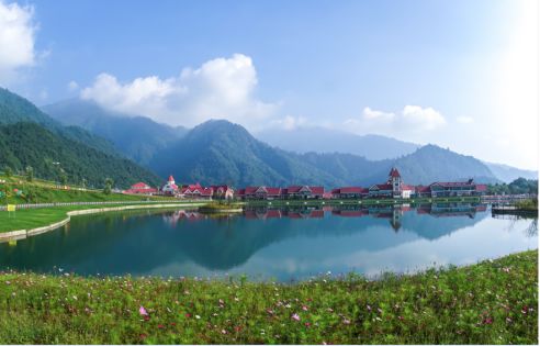 什么样的地方被称为"全国最美森林小镇"?大邑西岭告诉你!