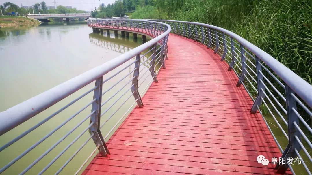 这一处亲水栈道设计的如何