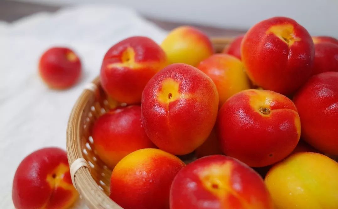 全网独家深山极品小甜杏软糯果蜜清爽余甘一口解锁神仙滋味