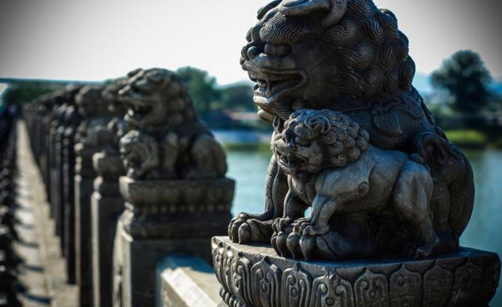 墓地摆放的石狮子,有哪些讲究?