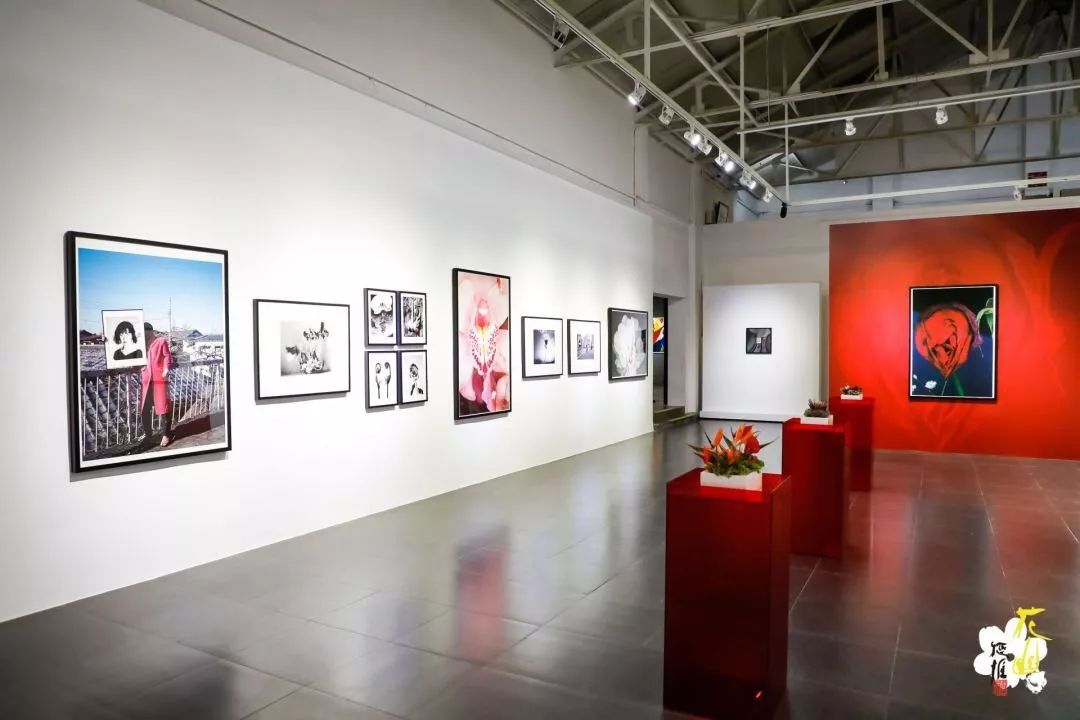 荒木经惟·花幽展览现场·798艺术区桥艺术空间这是日本艺术家荒木经