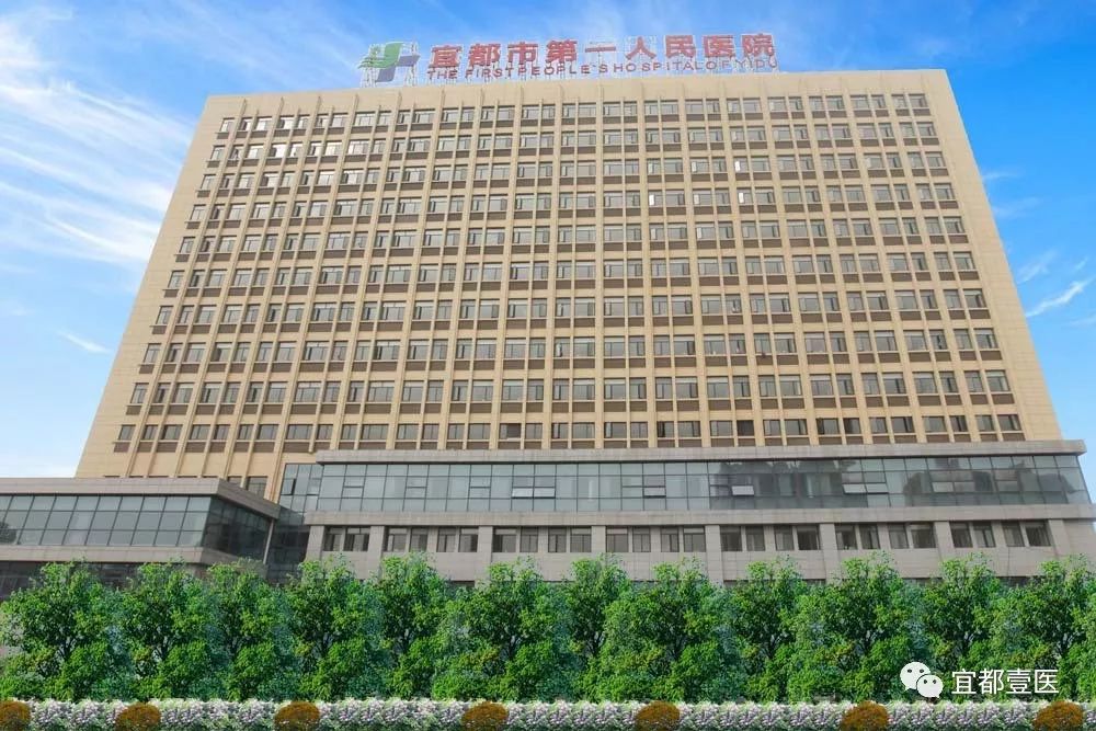 宜都市第一人民医院 直接入列全省29家 基本达到县级医院综合能力 no.