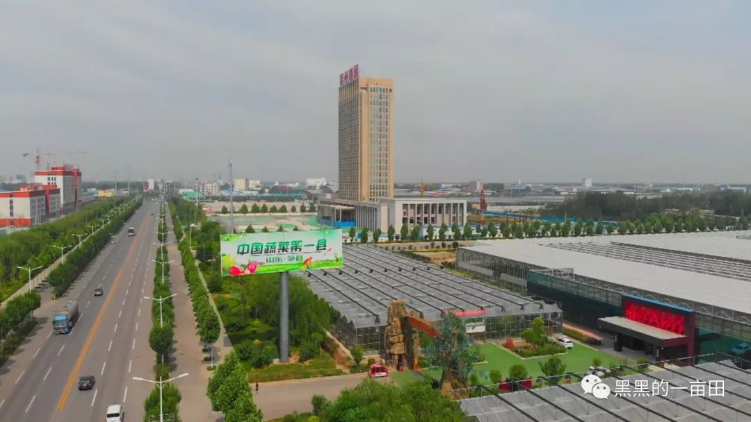 中国蔬菜第一县的品牌之路
