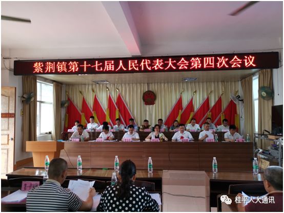 7月5日,紫荆镇第十七届人民代表大会第四次会议在镇政府二楼会议室