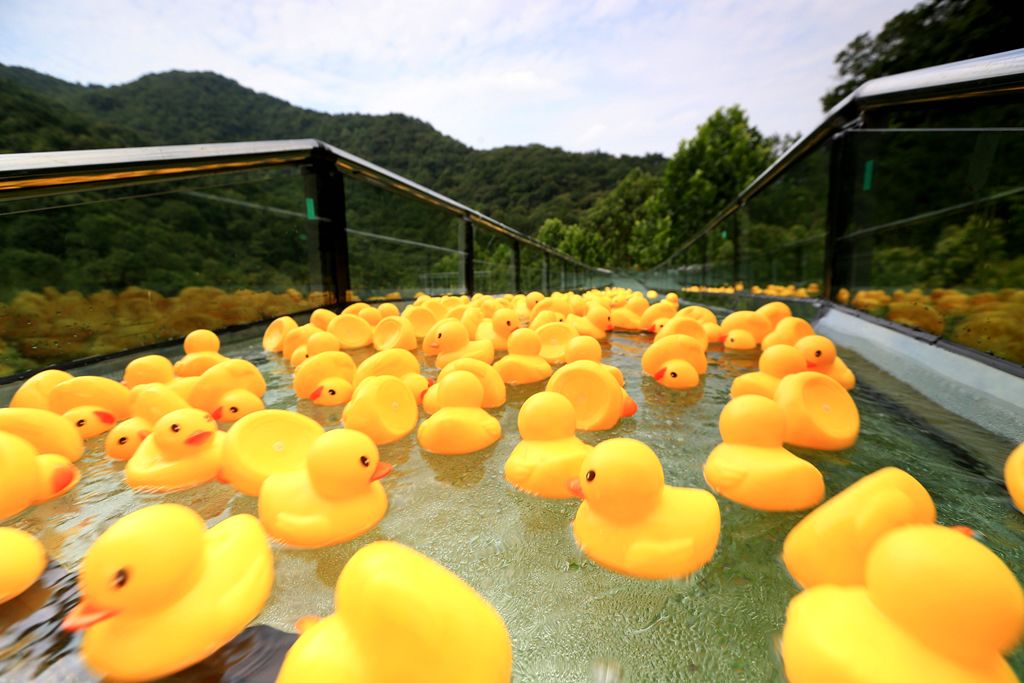 木兰天池玻璃漂流正式开漂!小黄鸭成了头号玩家!-搜狐大视野-搜狐新闻