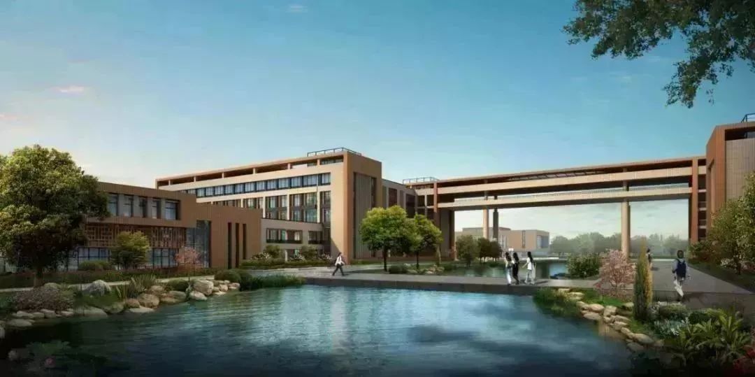 苍南外国语学校来了!入学条件是…_县教育局