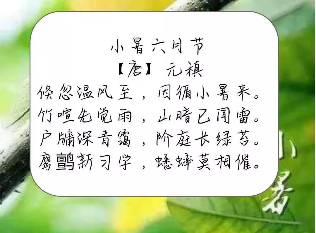 邂逅诗词||小暑已来,盛夏将至.