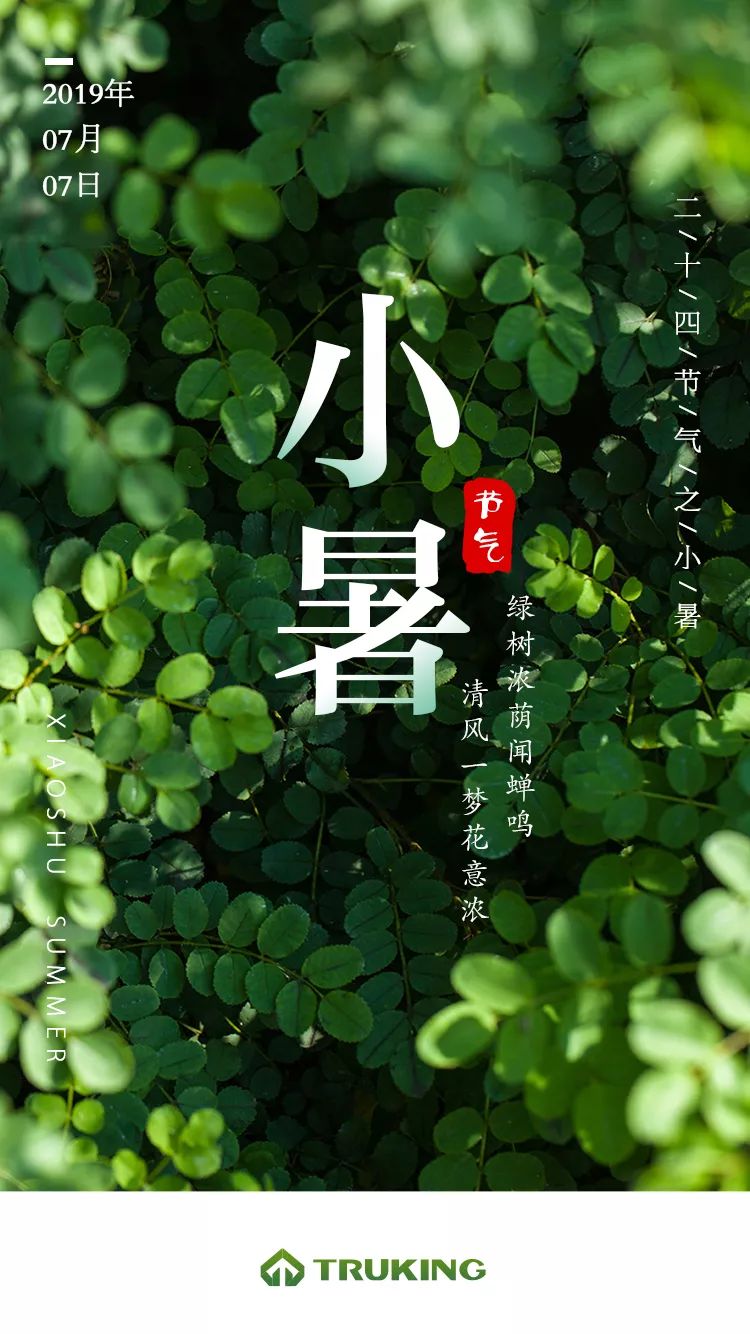 今日小暑丨楚天海报