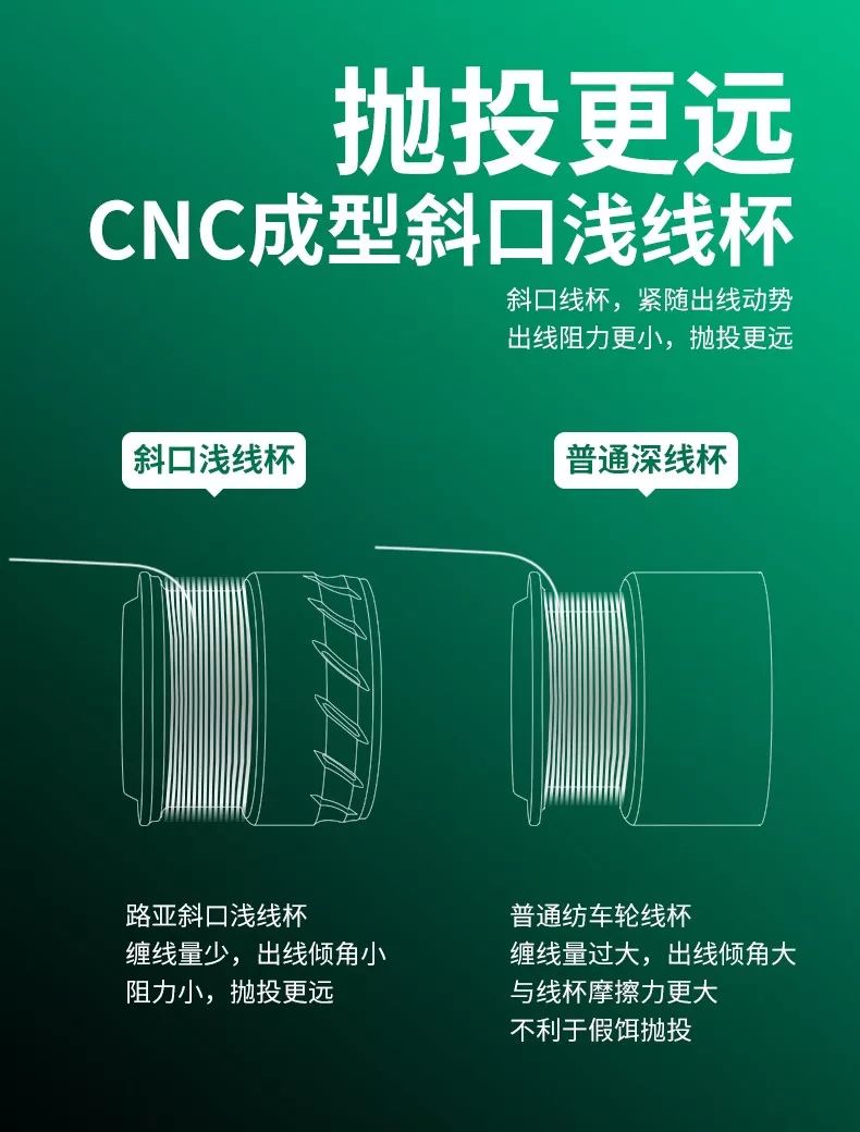 国王路亚银翘银月戏青稍