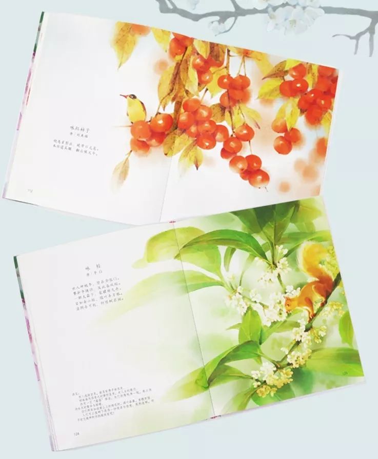 强烈推荐给妈妈的唯美绘本《花与诗》,陪你享受二十四节气里的诗和