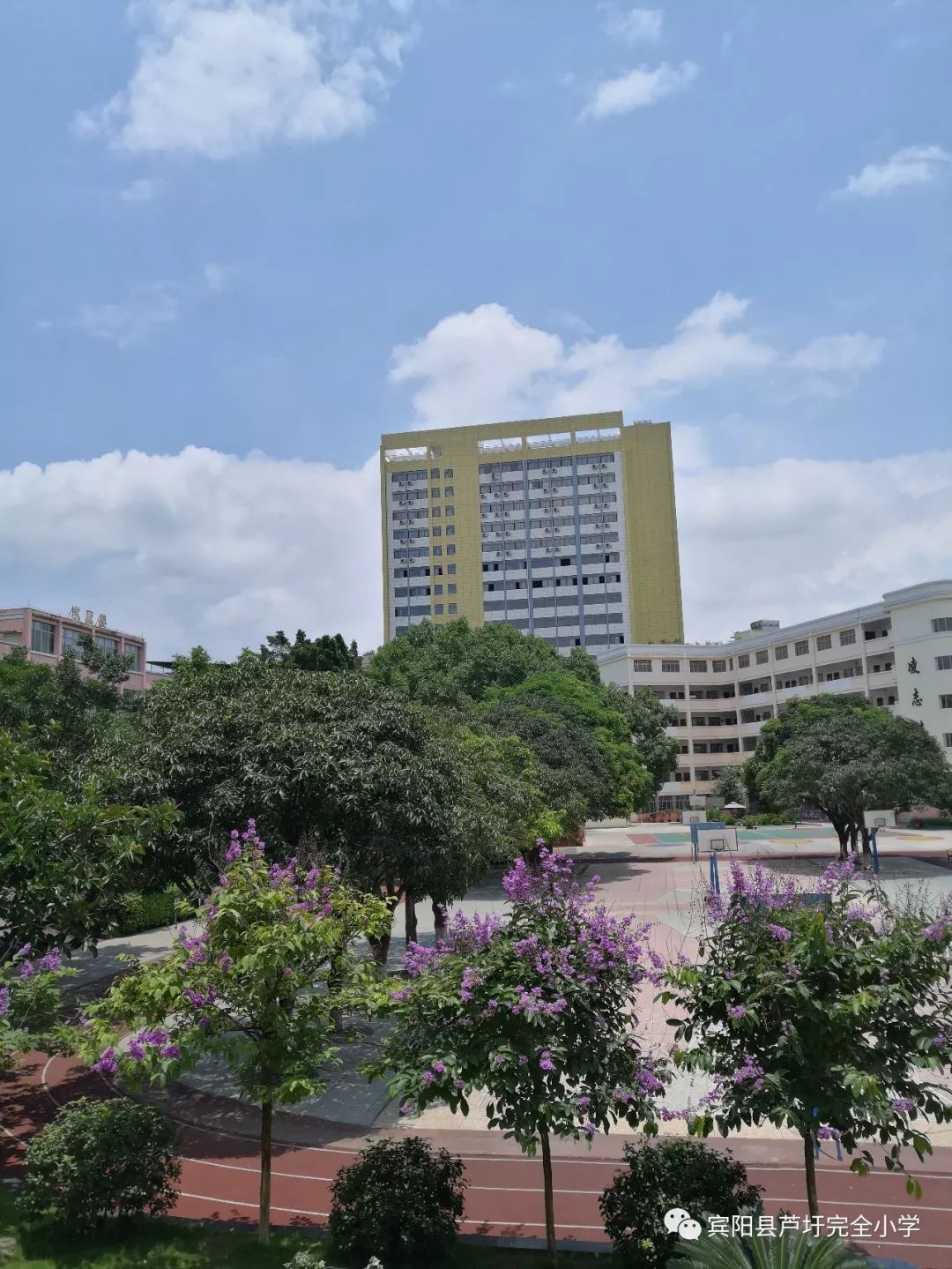 宾阳芦小2019年秋学期一年级新生招生简章公布了