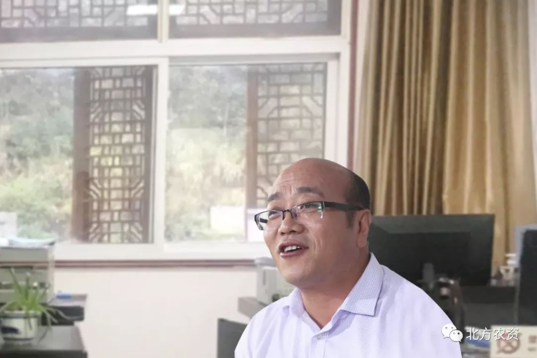 分享众里寻它千百度蓦然回首农资新突破在这里