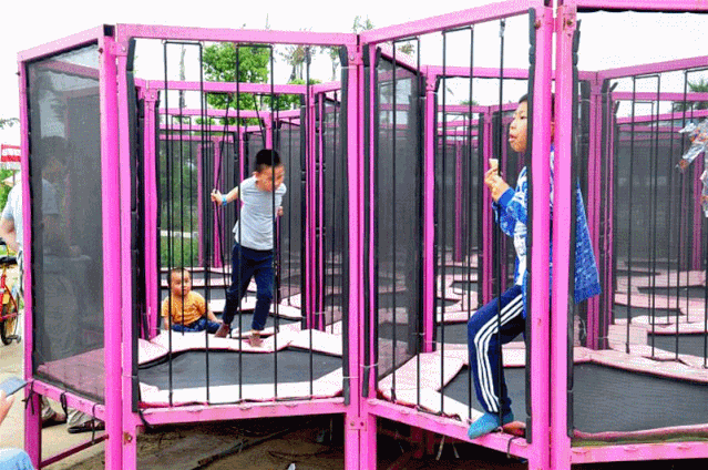 起来香甜的葡萄园里漫步游玩孩子们一手提着小篮子一手拿着小剪刀绿荫