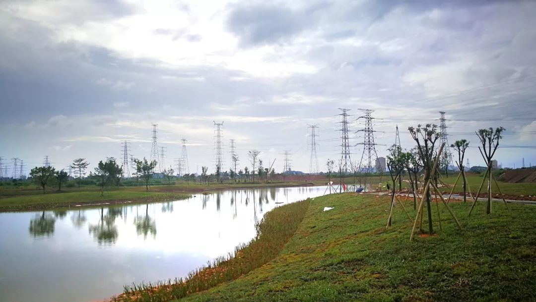 谢岗镇银山市级湿地公园现雏形 预计今年12月底完工