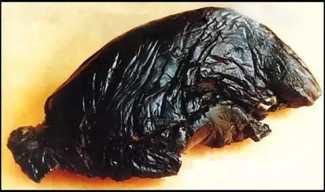 鸦片唐代就进了中国,为何只有清朝人爱