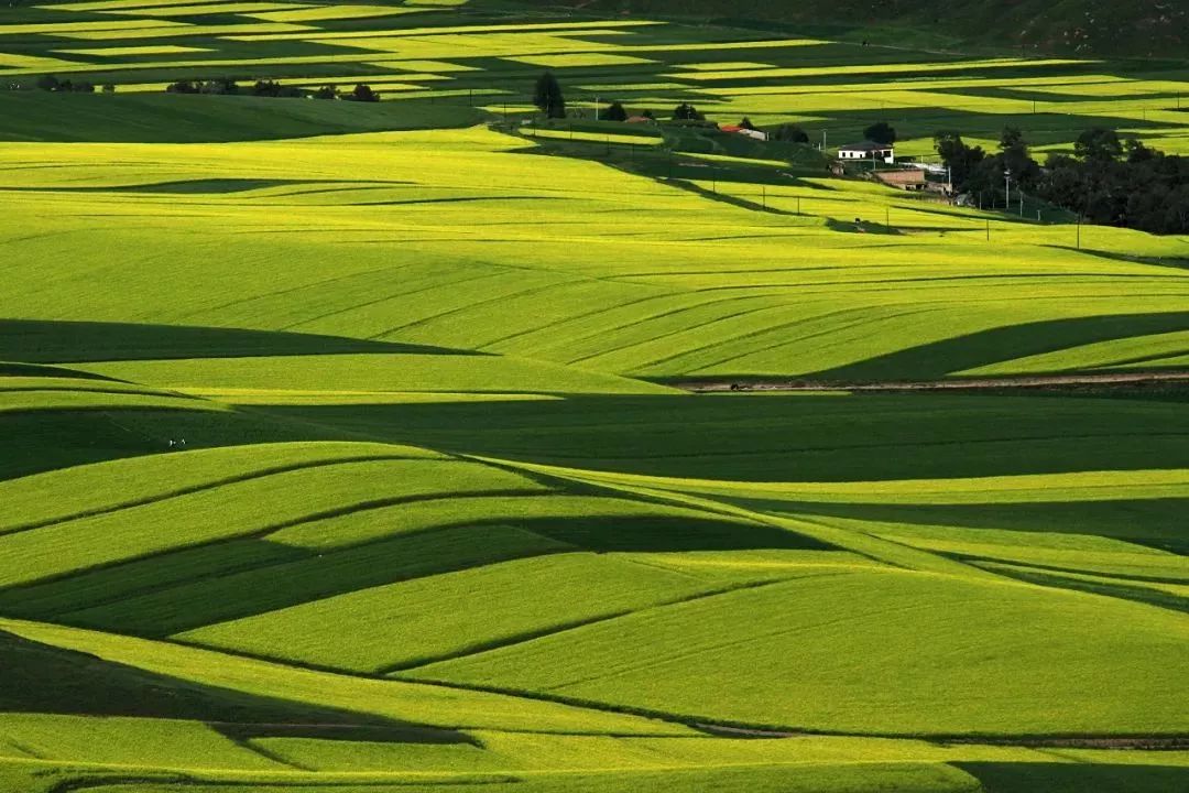 雨后甘肃山川秀美陇原大地尽披绿装