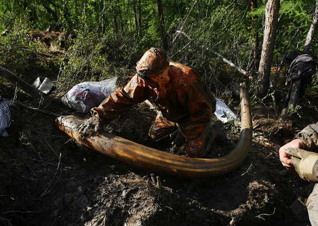 年薪超1200万的挖尸人一件最高价值150万却鲜有人前往