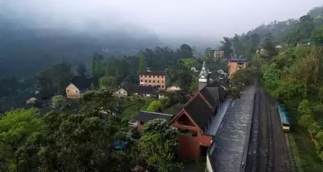 藏不住了乐山这个地方强势入选全国最美森林小镇又一次火遍全国