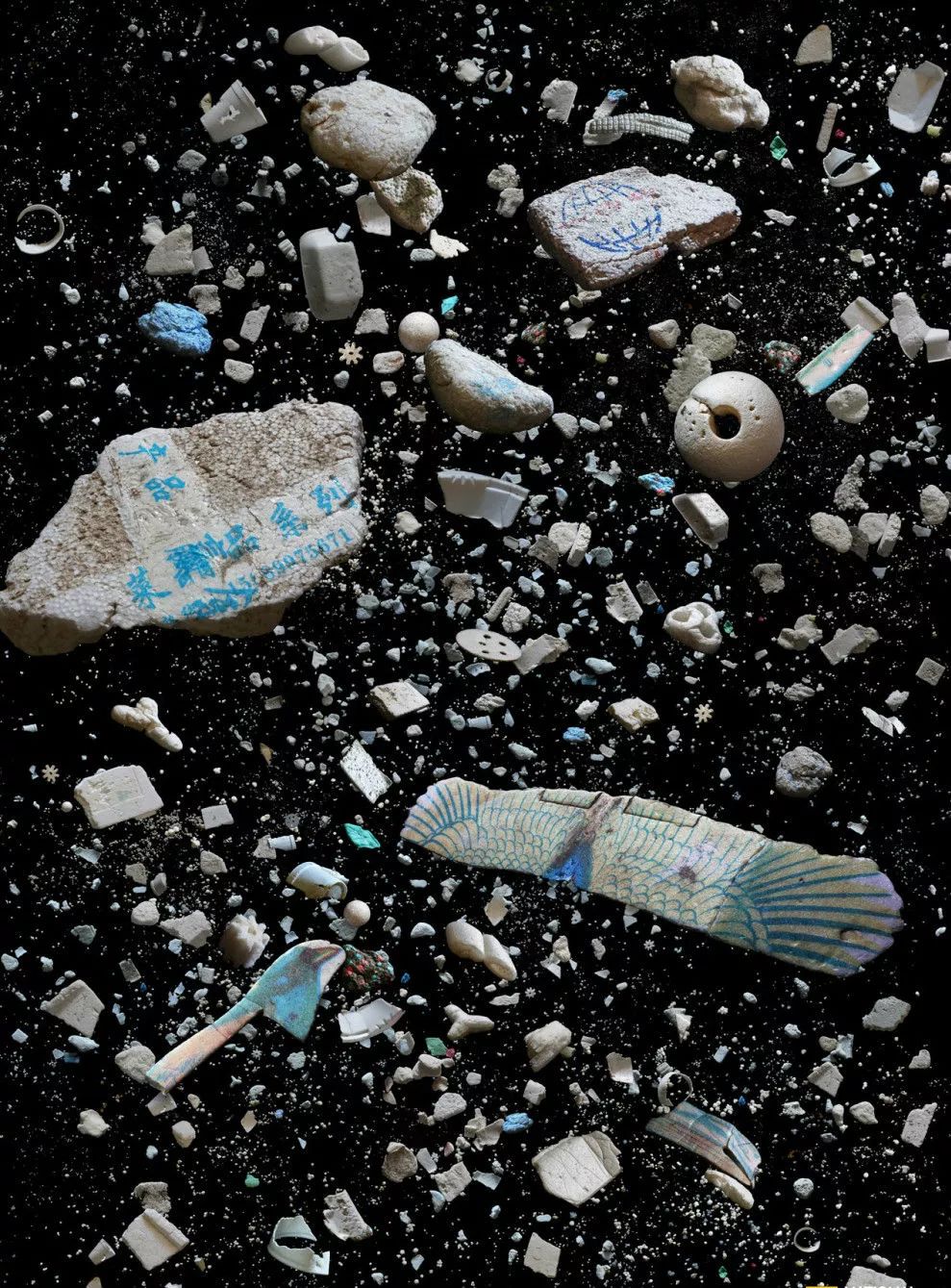 对于摄影师而言垃圾分类来得太晚