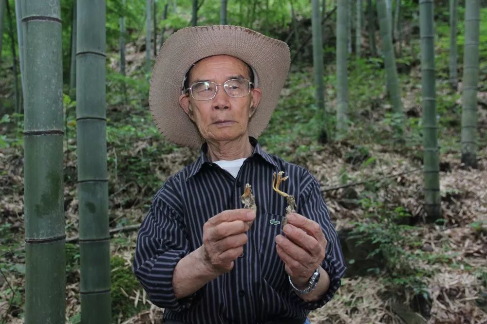 虫草之父","中国专利金奖"获得者,泛亚医药首席微生物学家陈祝安教授