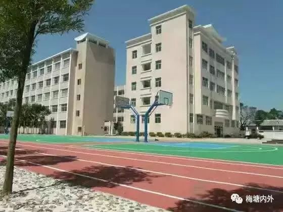 喜报梅峰初级中学今年中考取得优异成绩