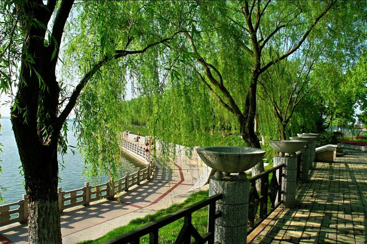 为了让常德城市客厅变得美丽漂亮 柳叶湖书记亲自动手做"功课"