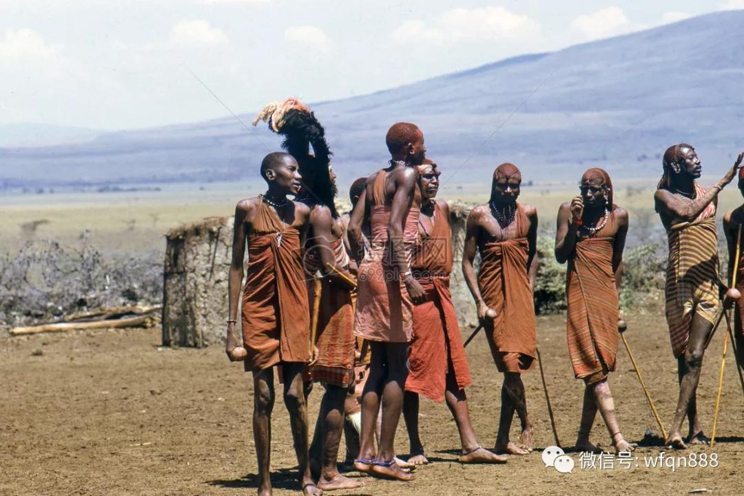 属尼格罗人种苏丹类型,为尼罗特人的最南支系