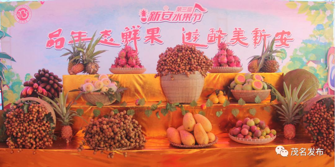 厉害!茂名这个镇举办"水果文化旅游节",当天签约5.36亿元!_化