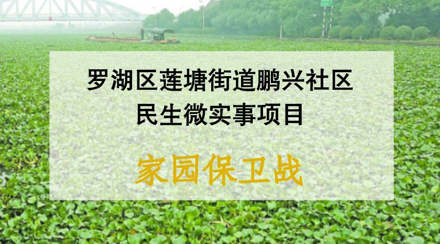 【蓝色课堂|预告】罗湖区莲塘街道鹏兴社区民生微实事项目 蓝色课堂之