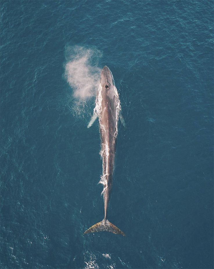 60张美到极致的上帝视角