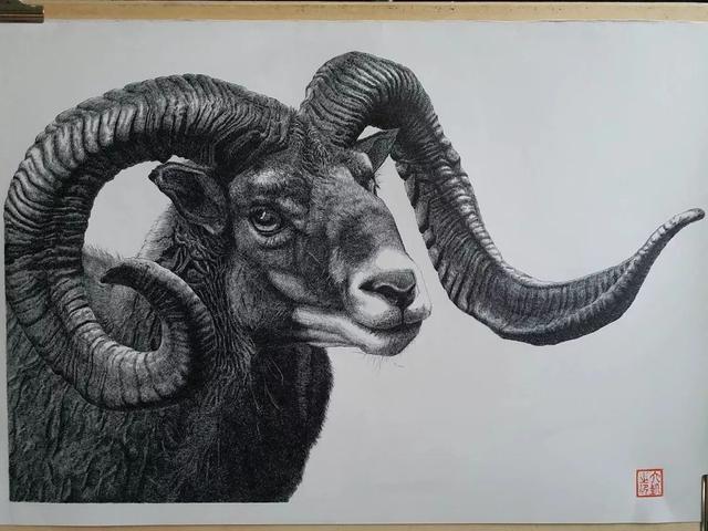 老师您说钢笔手绘要画成这样才算是大神么