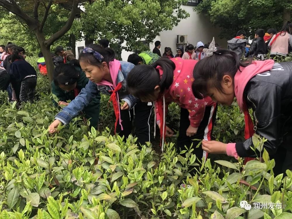 教育|【校园之声】官塘桥中心小学红领巾之声_镇江市