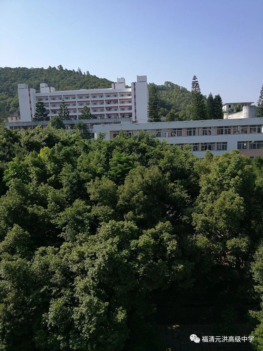 福清元洪高级中学初一招生火热报名中