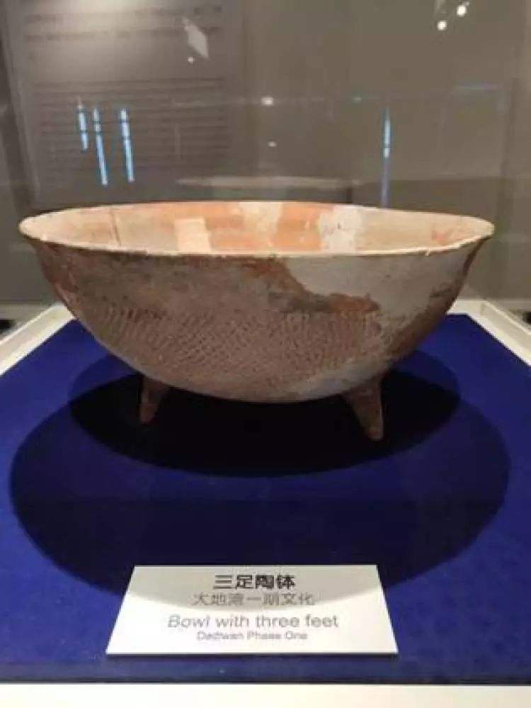 秦安大地湾出土的陶器图片